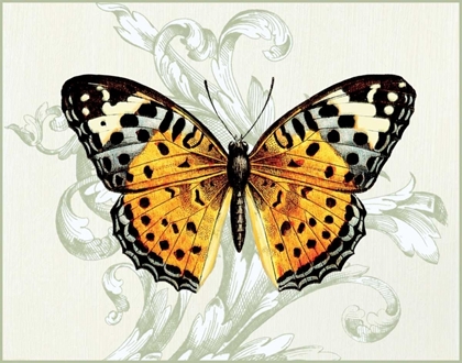 Picture of BUTTERFLY THEME IV