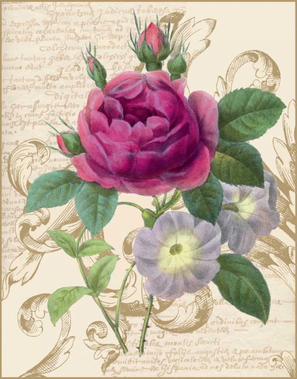 Picture of BLOOMSBURY II