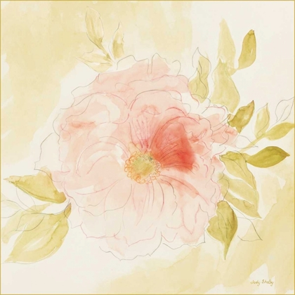 Picture of STARDUST PEONY