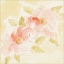 Picture of BALLERINA ROSE