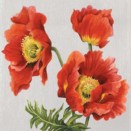 Picture of POPPIES ON SILK