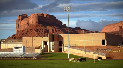 Picture of BOVINE FOOTBALL