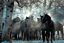 Picture of HORSES IN THE MIST