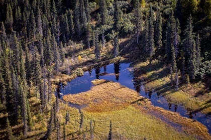 Picture of RIVER BELOW