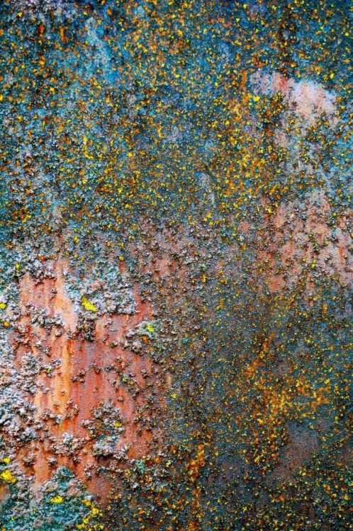 Picture of SHIPS RUST