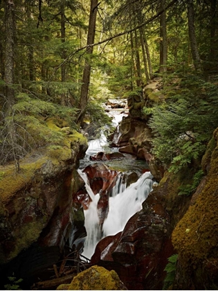 Picture of AVALANCHE CREEK