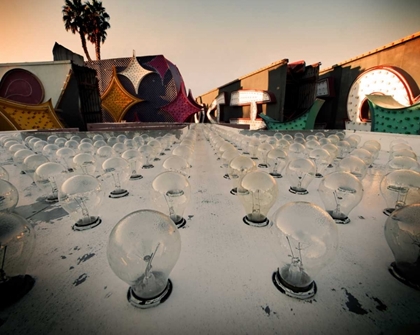 Picture of LIGHT BULBS