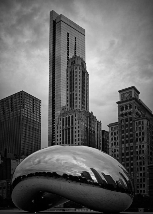 Picture of THE BEAN