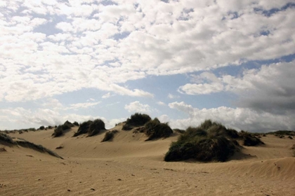 Picture of SAN DUNE WITH CLOUDY SKY
