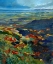 Picture of COLOR FLOWERING COAST SARDINIA ITALY
