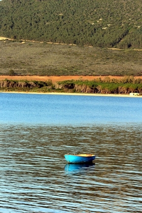 Picture of LONELY BLUE BOAT IN THE GULF