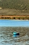 Picture of LONELY BLUE BOAT IN THE GULF