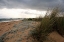 Picture of SANDY DUNES AND WILD PLANTS ON THE SARDINIAN COAST