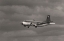 Picture of LIGHT PLANE BLACK WHITE 