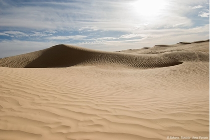 Picture of DESERT WITH SAND DUNES