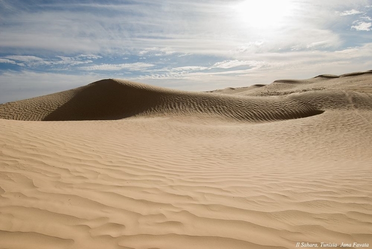 Picture of DESERT WITH SAND DUNES