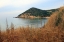 Picture of RELAXING VIEW ON THE GREEN HILL