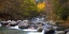 Picture of FOREST AND RIVER 802