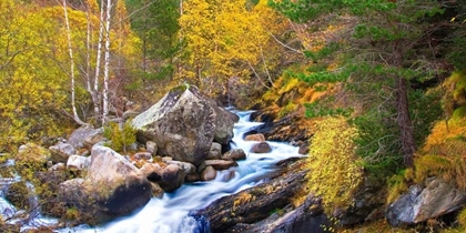 Picture of FOREST AND RIVER 803