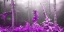 Picture of LILAC FOREST 810