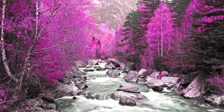 Picture of LILAC RIVER AND TREES 832