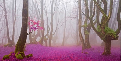 Picture of FUCHSIA FOREST LEAVES 829