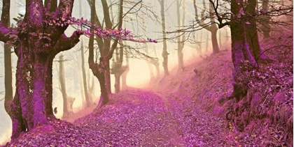 Picture of FOREST IN PURPLE 827