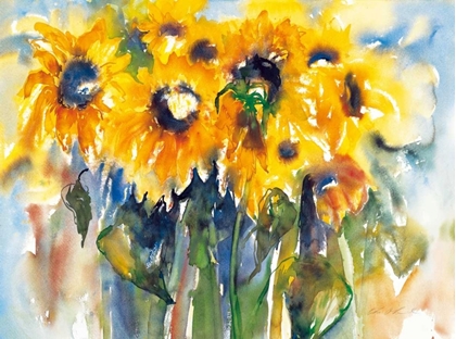 Picture of SONNENBLUMEN