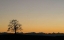 Picture of ABENDDAMMERUNG II
