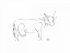 Picture of COW
