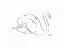 Picture of SWAN