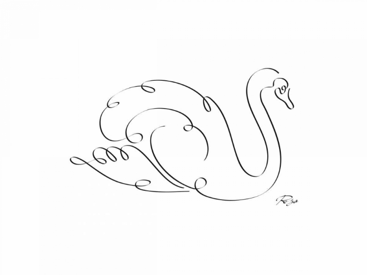 Picture of SWAN