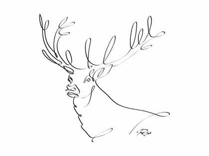 Picture of DEER