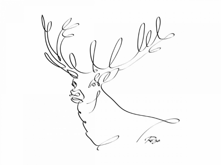 Picture of DEER