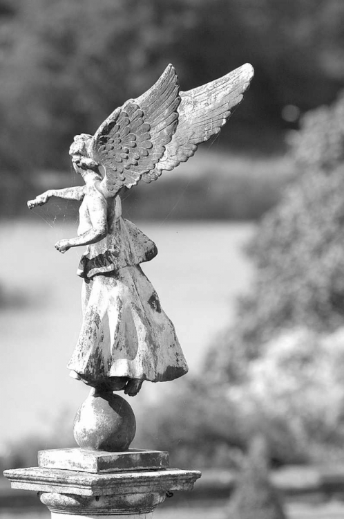 Picture of ARCHITECTURAL DETAIL, BLENHEIM PALACE