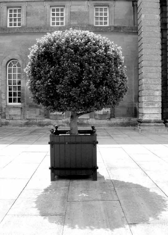 Picture of ARCHITECTURAL DETAIL, BLENHEIM PALACE