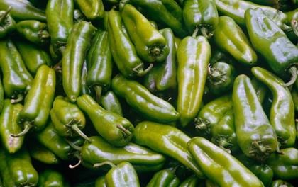 Picture of GREEN CHILES
