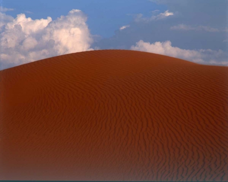 Picture of SAND DUNE, SAHARA