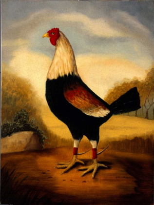 Picture of FIRST FIGHTING COCK