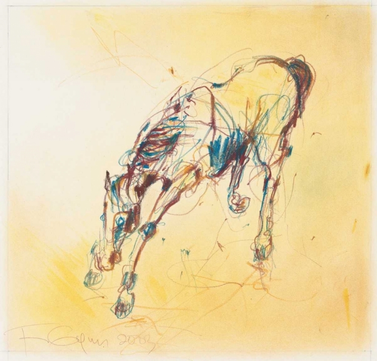 Picture of BUCKING HORSE STUDY