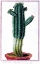 Picture of CACTUS, TITHYMALUS