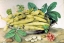 Picture of DISH OF BROAD BEANS