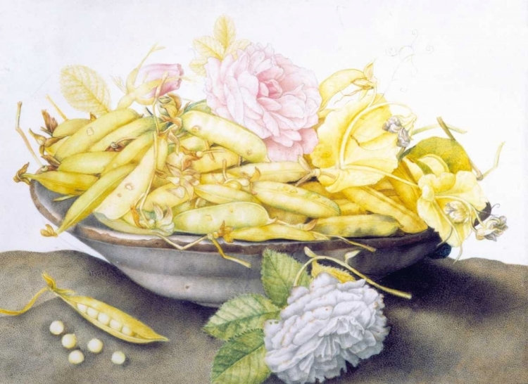 Picture of BOWL WITH PEAS