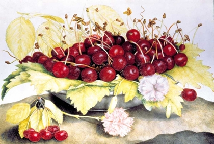 Picture of DISH OF CHERRIES AND CARNATION