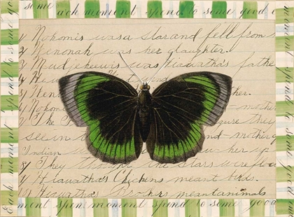 Picture of BUTTERFLY COLLAGE, HIAWATHA