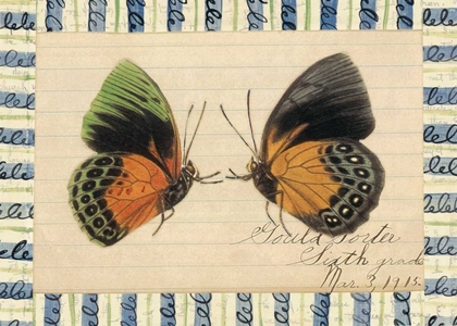 Picture of BUTTERFLY COLLAGE, SIXTH GRADE