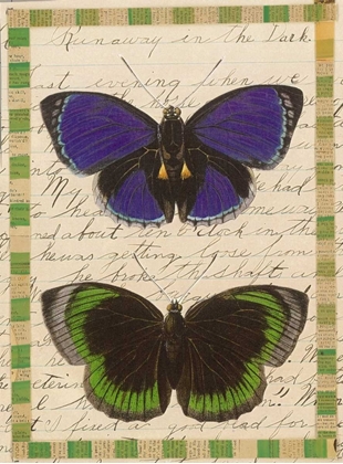 Picture of BUTTERFLY COLLAGE, RUNAWAY
