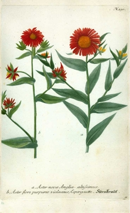 Picture of ASTER, PLATE 190