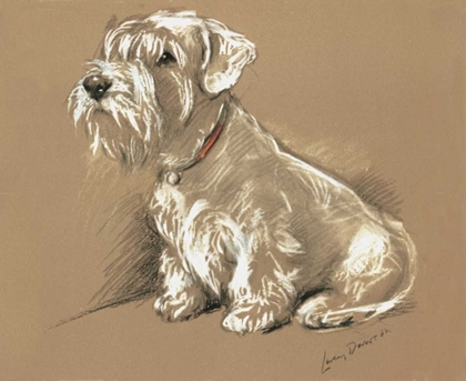 Picture of TERRIER, BUNDLE