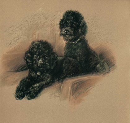 Picture of POODLES